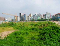 Hà Nội thu hồi gần 17.000 m2 đất bỏ hoang